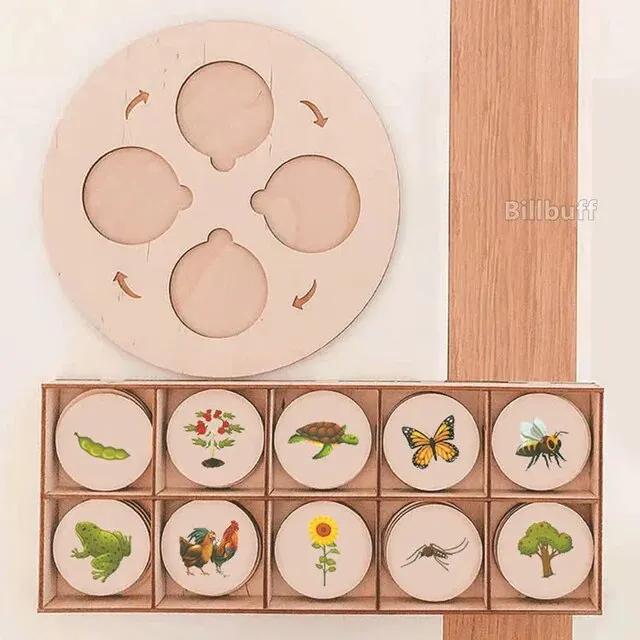 Montessori Izglītojoša Rotaļlieta Dzīvnieku Iepazīšana Dzīves