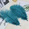 Colored Ostrich Feathers 30-35Cm Stage Performance Wedding Bouquet Decoration Ostrich Feathers