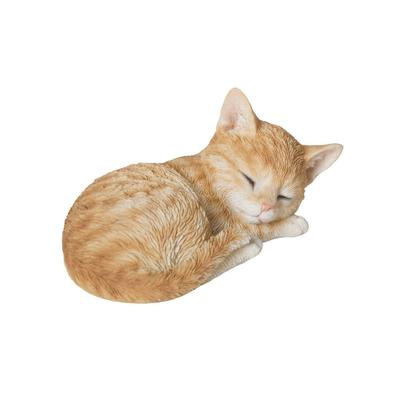 Katzen – Katzenspielzeug