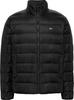 Winter Jacket Tommy Hilfiger Steppjacke Down Black