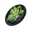 Floating Island Plant Protector Pond Basket with Fine Mesh Round Floating Flora Fish Barrier Floating Island Planter
