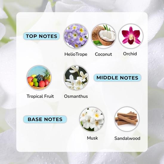 Moody Premium Tropical Vanilla Perfume for Women | Long Lasting Scent Upto 8 Hours | Luxurious EDP Fragrance with 20% Perfume Oil, 100ml