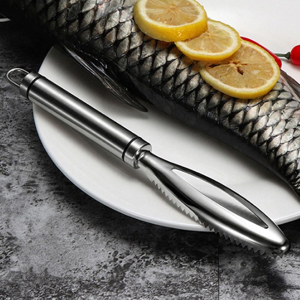 304 Stainless Steel Fish Scale Remover Fish Cleaning Fishing Scaler