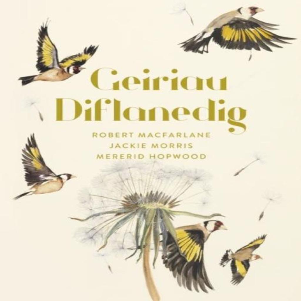 Geiriau Diflanedig by Mererid Hopwood Hardback Book 9781913134617