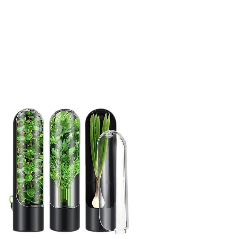Round Plastic Herb Keeper Fresh-keeping Box for Vegetables and Kitchen Storage