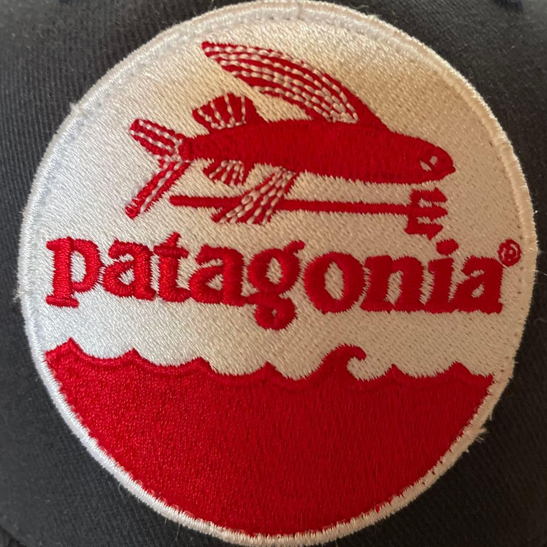 Used Patagonia S9 Early Trucker Hat Flying Fish