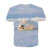 Summer Comfortable Soft Round Neck Short Sleeve T-shirt Seal Series 3D Digital Printed Loose Fashion Large Size Men's Women's T-shirts