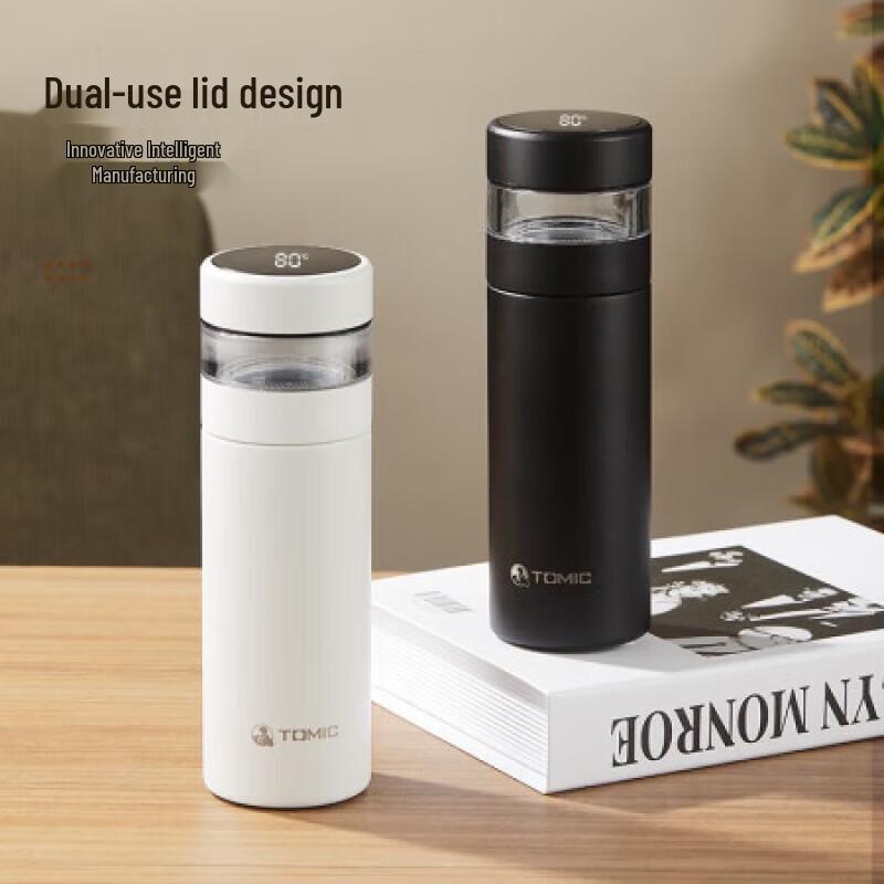 Temake Insulated Tea Infuser Mug 420ml