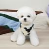 Plush Dog Clothes Cartoon Bear Dog Costume New Puppy Clothes Vest  For Small Medium Dog