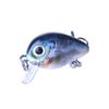 Mikro Köder 1.5G Mini Chubby Köder Set - Künstlicher Fischköder für Angelausrüstung