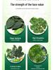 Artificial Red Maple, Ginkgo, Birch, Banyan, Elm Leaves for Landscaping