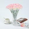 10pcs Real Touch Artificial Carnation 3D Fake Flowers New Simulation Flower  Mother's Day