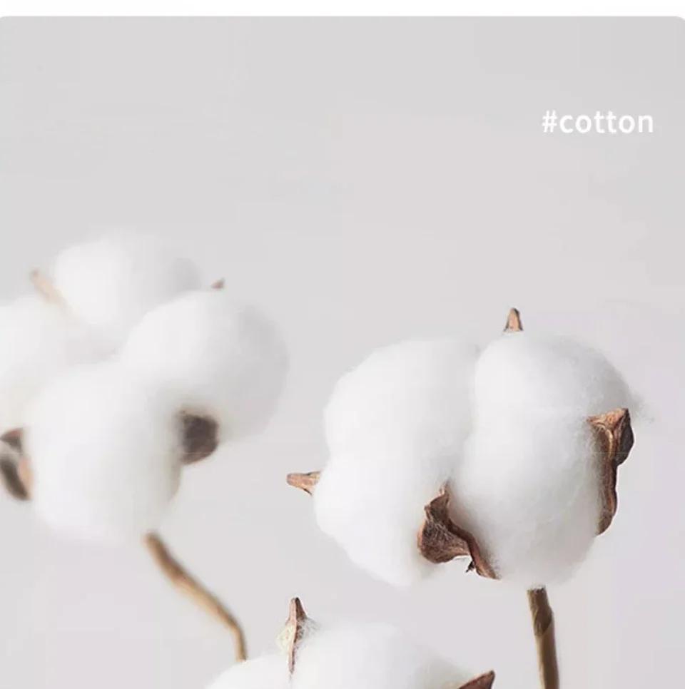 Funny Letter People Absolute Nightmare Would Not Recommend Summer Cotton Men's Tops Tee Print Oversized