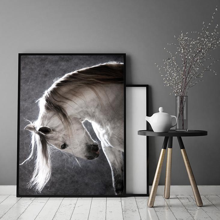 Picture, poster Framed 73x53 cm Horse P506