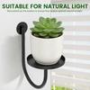 3Pcs Wall Mounted Flowerpot Holder Metal Planter Hook Bonsai Hanging Basket Planter Pot Stand Indoor Outdoor Gardening Decor