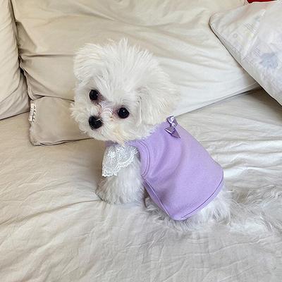 Lace Small Flying Sleeve Candy Color Dog Vest Spring and Summer Thin Breathable Small Puppy Kitten Pet Dog Clothes