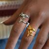 Exquisite Stainless Steel 18K Gold Plated Dolphin Design Ring Waterproof High Quality Ladies Jewelry for Daily Wear Vacation Etc
