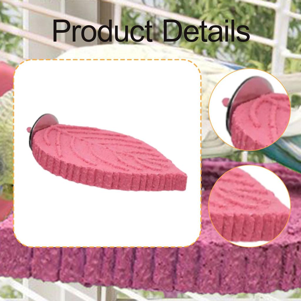 Pet Parrot Perch Supplies Paw Grinding Stick for Conures Finches Small Bird