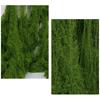 Artificial Plants DIY Landscaping Realistic Moss Lifelike Appearance