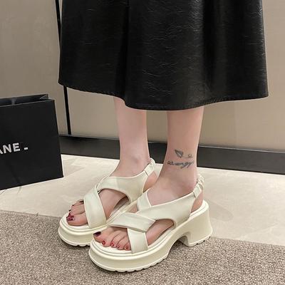 Sandalen voor Dames Chunky Zomer 2024 Ronde Neus Tip Schoenen met Middelhoge Hakken Damesschoenen Dikke Hak Beige Blok Buiten Dagelijks