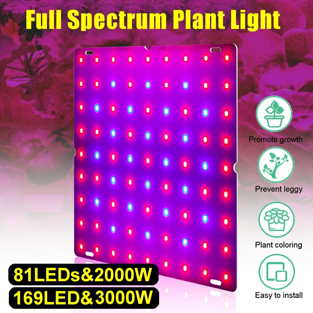 AC85-240V 2000W/3000W LED Grow Light For Indoor Grow Tent Plants Growth Light Panel Full Spectrum Phyto Lamp