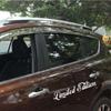 Styling Car Accessories Reflective Waterproof Limited Edition Auto-styling Window Car Stickers