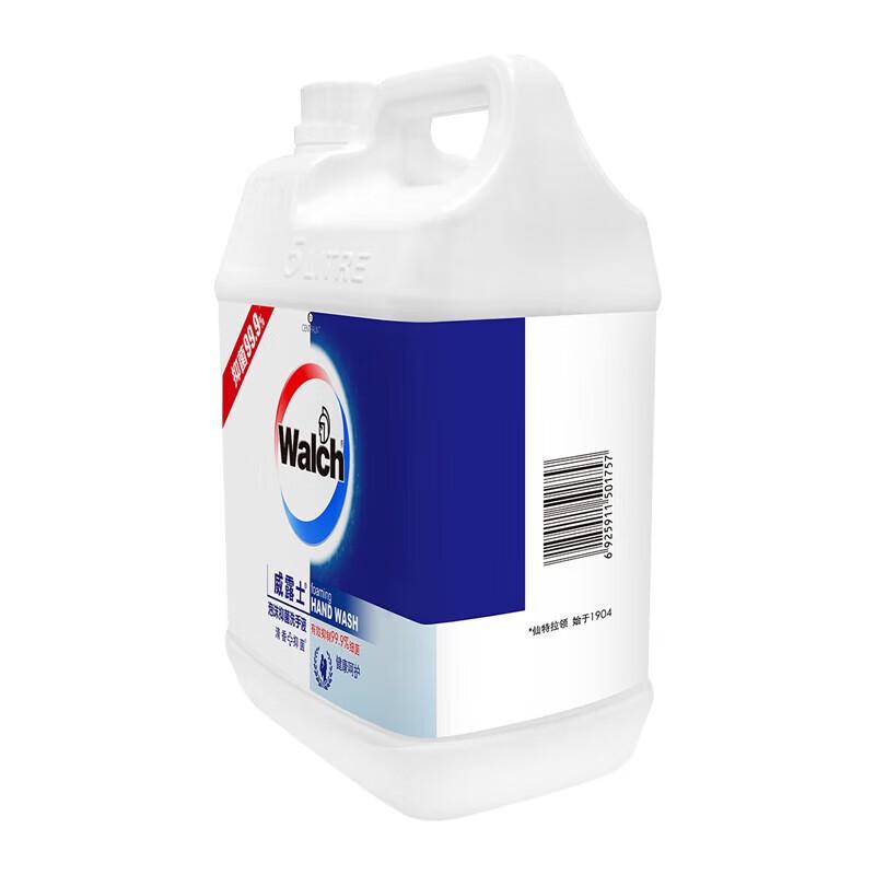 Walch Foam Hand Soap Refill