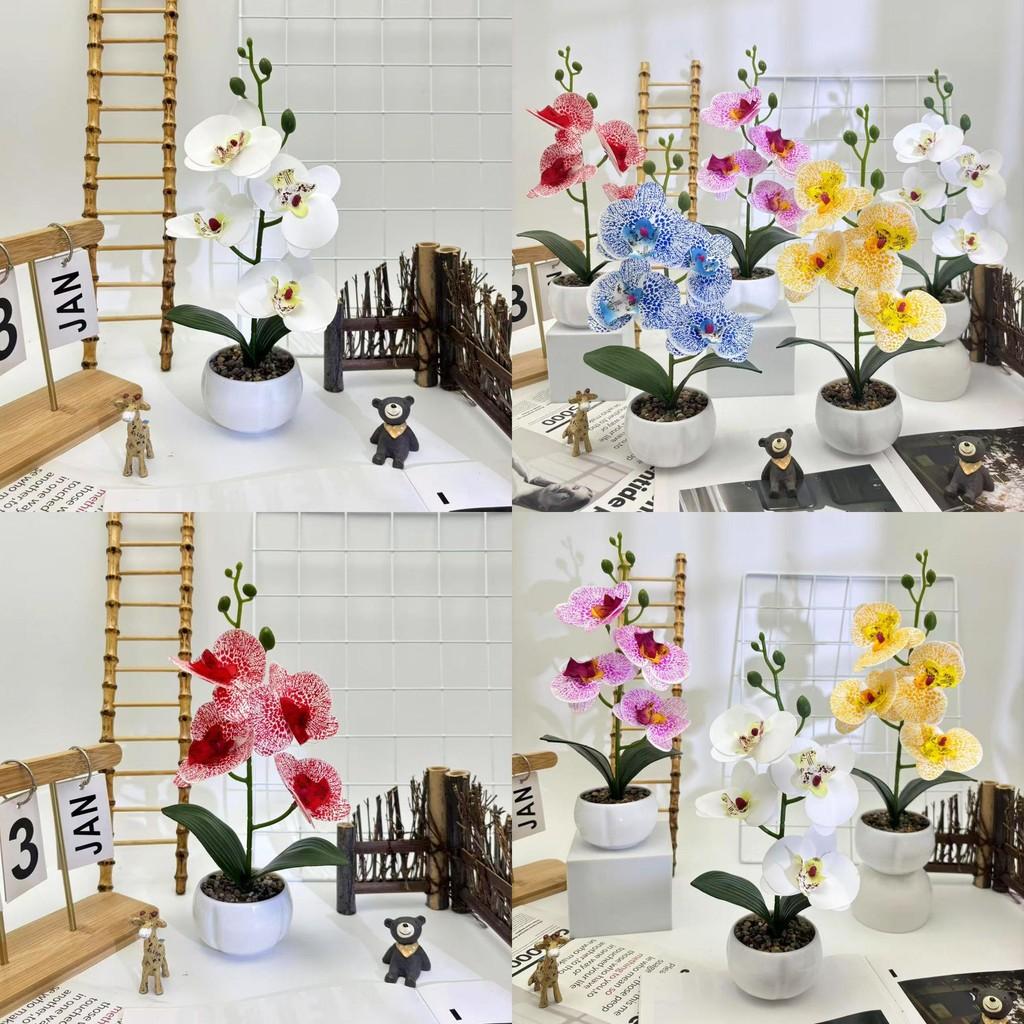 Rain Flower Stone Bonsai With Butterfly Orchid Artificial Plant For Office And Events