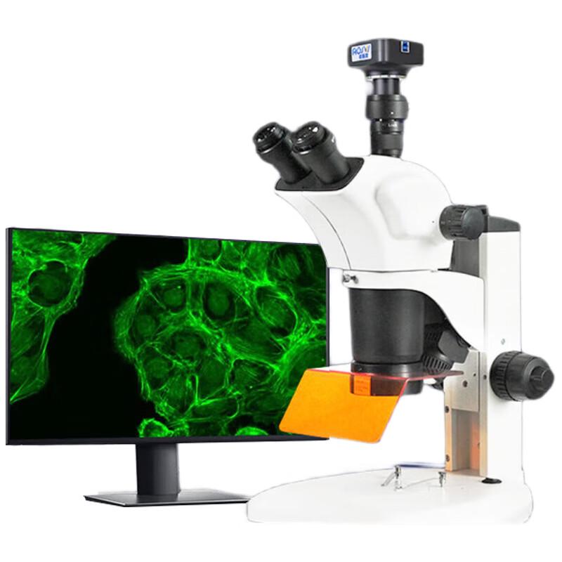 

AOSVI Fluorescent Stereomicroscope for Zebrafish Observation