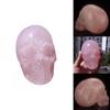 Modern Pink Skull Sculpture Handmade Art Piece For Display Collection Gift Giving