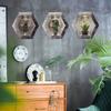 Accessoires Autocollants Muraux Amovibles Autocollants DIY Murale Décalcomanies Plante en Pot Décoration Intérieure