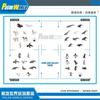Realistisches Miniatur-Arktis- und Antarktis-Pinguin-Wal-Tier-Modellset PVC-Figuren