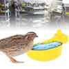 10Pcs Automatic Waterers Durable Feed Water Tool Poultry Supplies Chicken Poultry Water Drinking Feeder Cups Bowls for Bird
