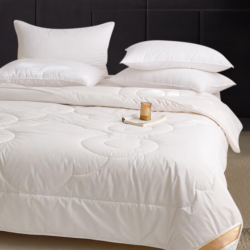 Hongxiu Shifang Soft Winter Quilt