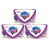 Sabonete Safeguard Lavanda (3 x 100g)
