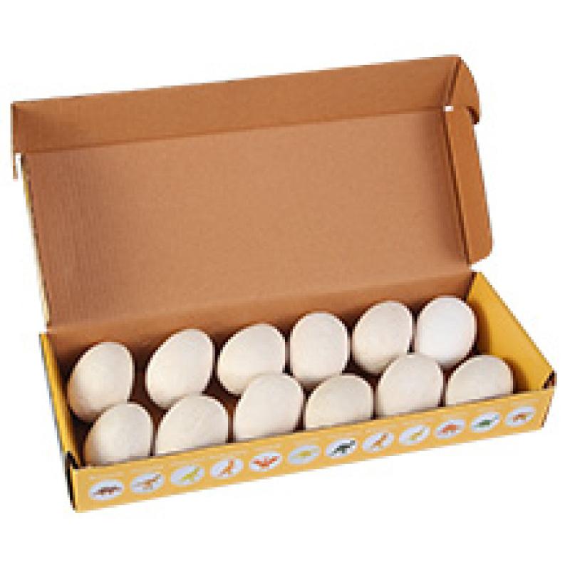 hot! Acekid Dig Dino Eggs Kit, Break Open 12 Unique Dinosaur Eggs and Discover 12 Cute Dinosaurs, Easter