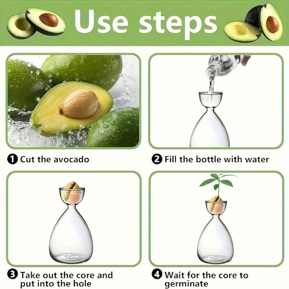 Small Avocado Hydroponic Bottle Heat-resistant Transparent Breeding Container  Indoor