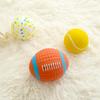 Sanhe Pet Latex Squeaky Chew Toy