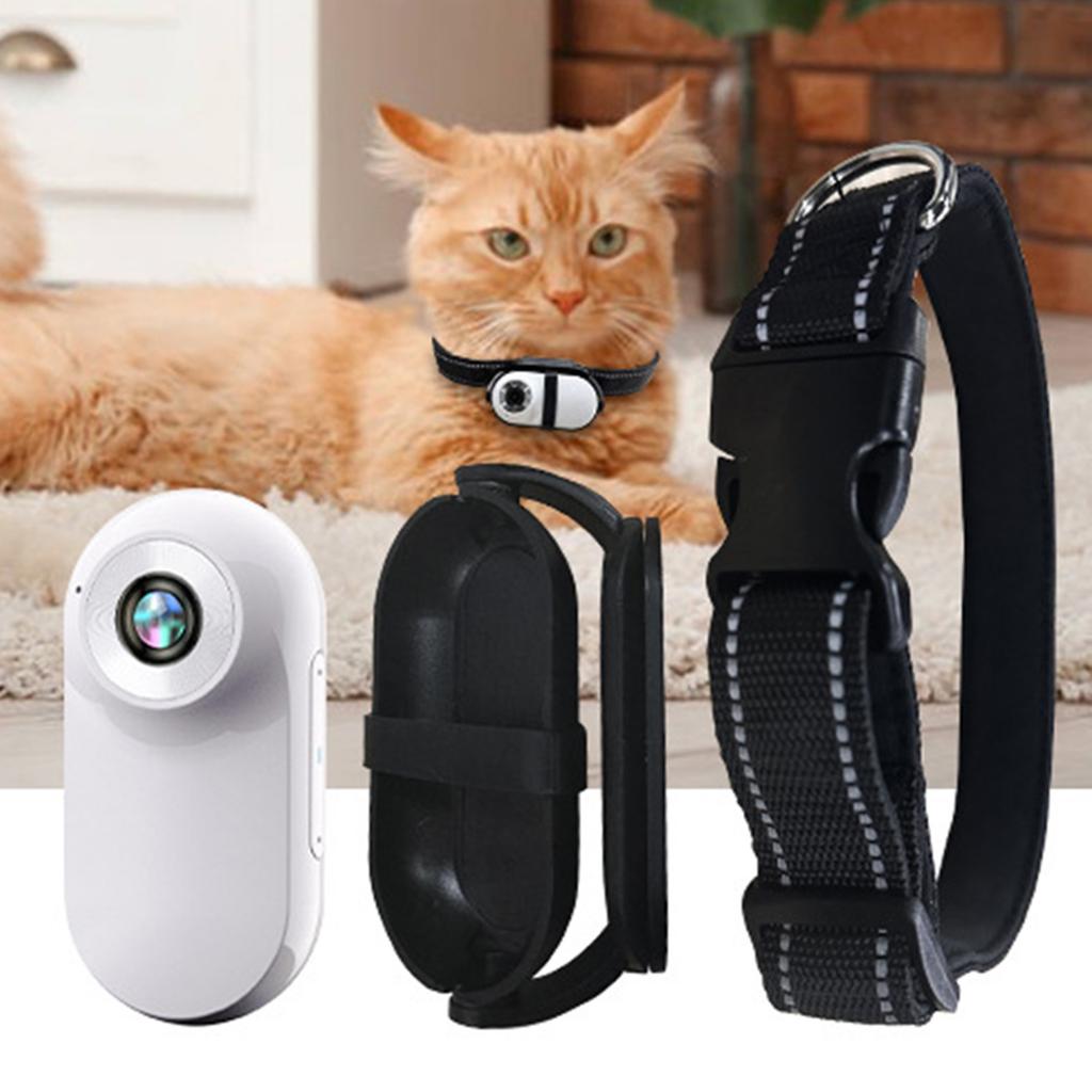 Animal Collar Camera 1920x1080P Resolution Photo Video Double Seize Location Observer Constructed In 32GB Card OTG Function