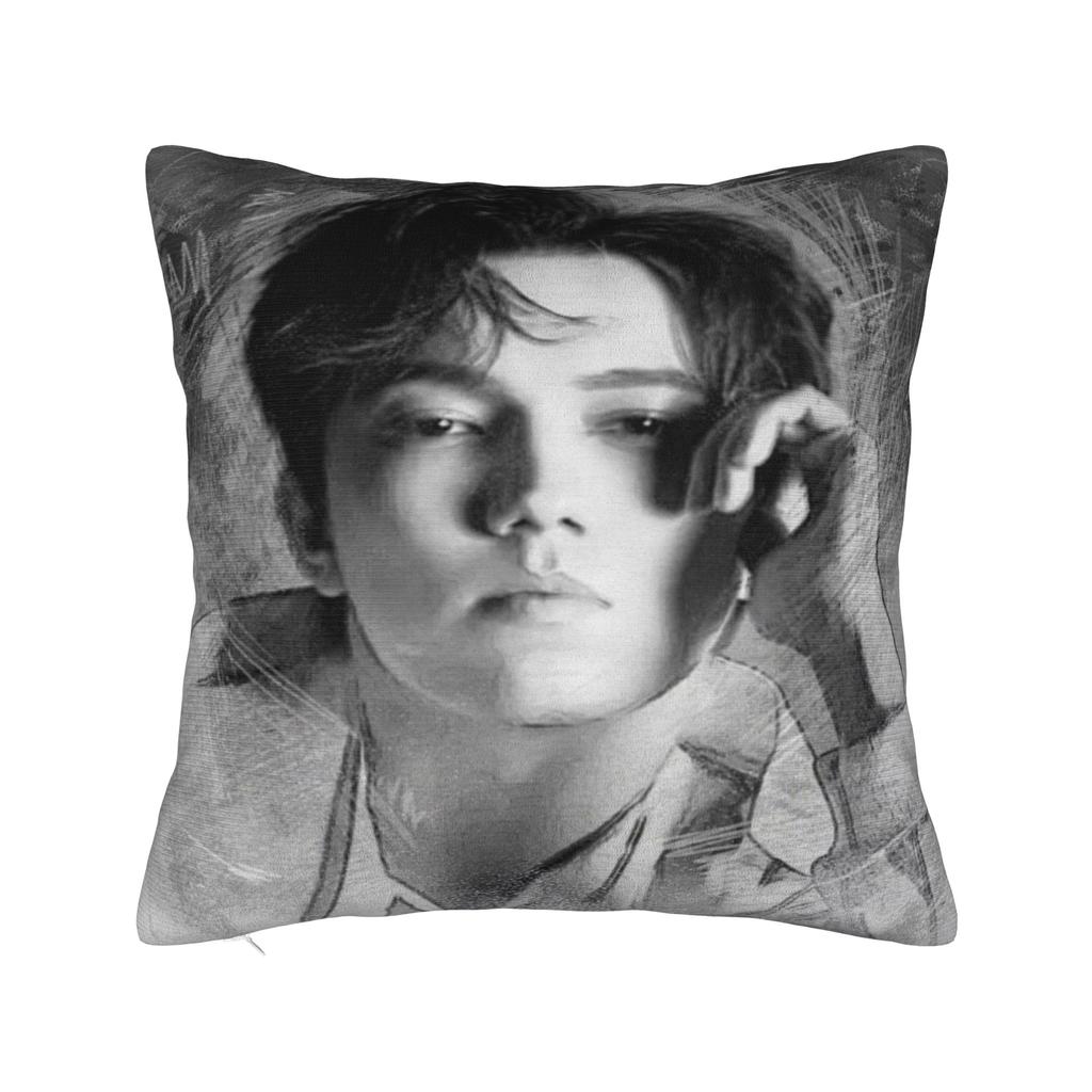 Car Decor Dimash Kudaibergen Pillowcases Accessories  Pillow Cover Square Multiple Sizes