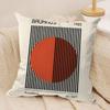 Bauhaus Trendy Lines Cushion Cover Silky Short Plush Invisible Zipper Dustproof Sofa Pillow Case for Home Decor