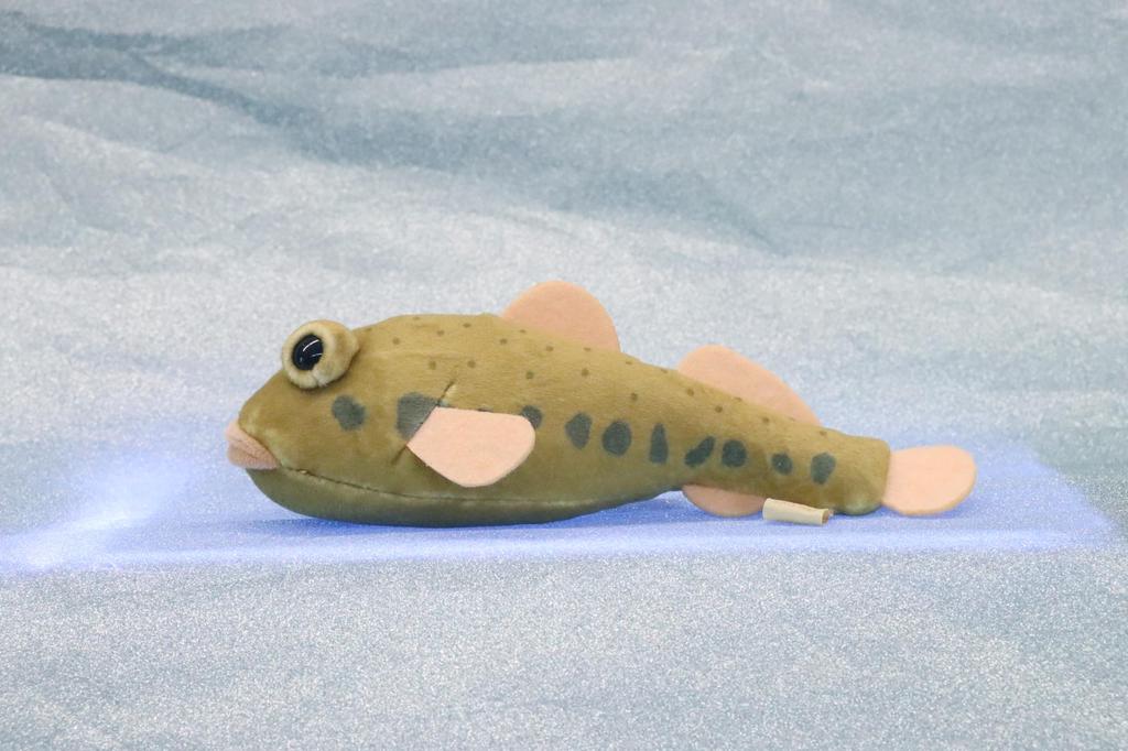 Take Off Pish - A Small, Colorful Fish Plush Toy That Makes a "beep" Sound When You Press Its Belly.