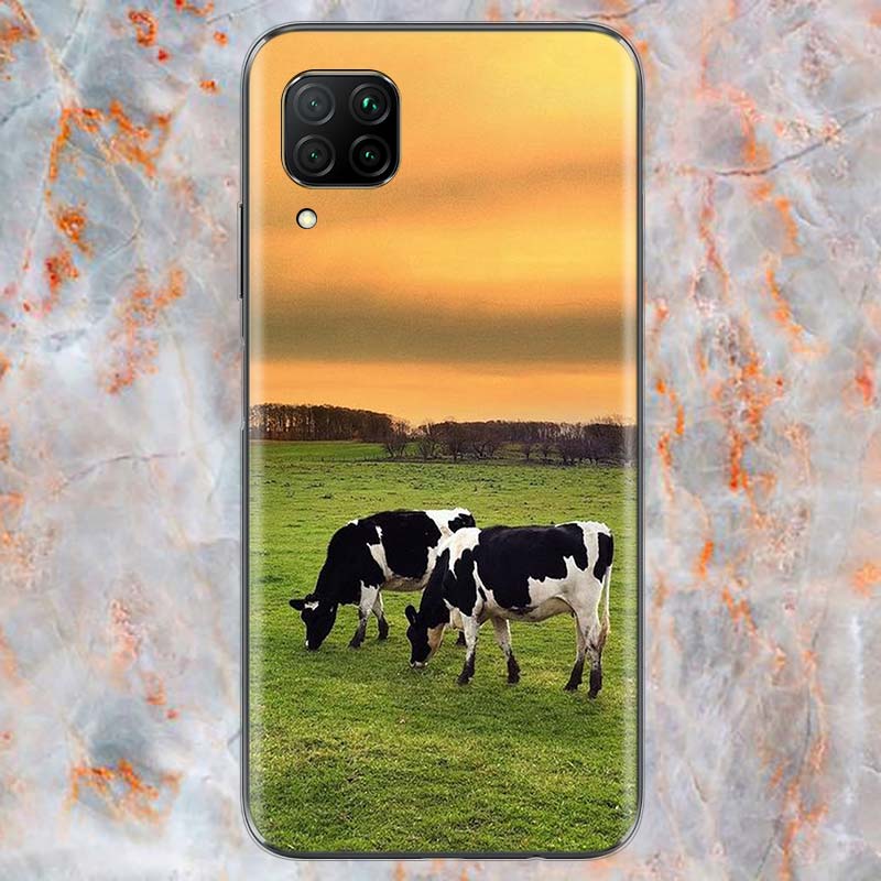 Söt djurko För Huawei Mate 40 30 20 20X 10 RS P Smart 2021 2020 Z S Pro Plus Lite 2019 Telefonskal