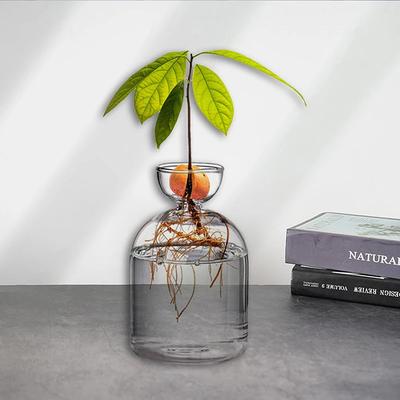 Decorazioni per la casa – Vasi