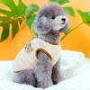 Fashion Dog Clothes for Small Dogs Winter Warm Pet Dog Vest Coat Cute Soft Puppy Sweater Pet Cat Jacket Coat Chihuahua Clothes