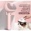 Kivori Pet Grooming Brush Steamer Spray Comb
