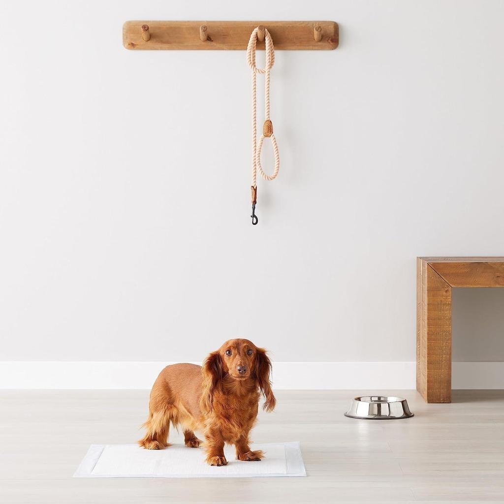 Pet Pee Pads for Potty Training| Standard | Regular 56 X 56cms | 50 Pieces | Leak-Proof Quick Dry Design, 5-Layer Design,