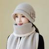Middle-aged and Elderly Women's Plush Hat Winter Plush Thickened Thermal Ear Protection Hat Foreign Fashion Mother Knitted Cotton Hat