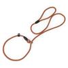 Pet Puppy Dog Leash Slip Rope Lead Leash Nylon Slip Chains Collar No Pull Training Lead Leashes for Small Dogs Black Red Blue