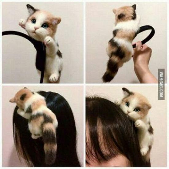 Papa Cat Kitten Headband & Hairpin Set: Playful Korean Hair Accessories for Girls
